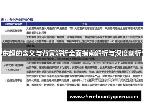 东超的含义与背景解析全面指南解析与深度剖析