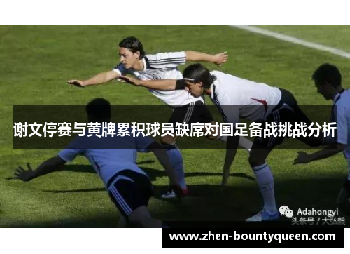 谢文停赛与黄牌累积球员缺席对国足备战挑战分析