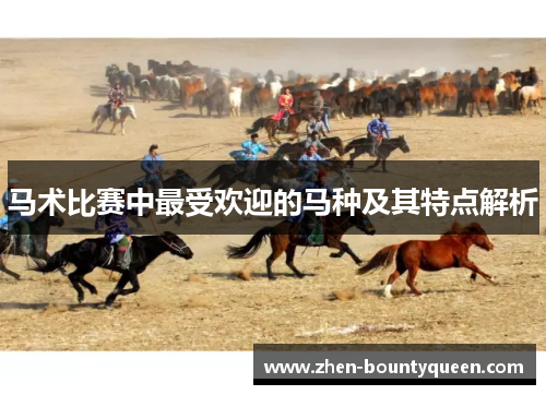 马术比赛中最受欢迎的马种及其特点解析